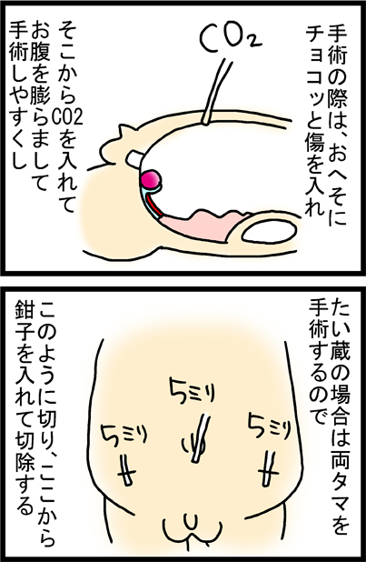 あぁ、トマコの生きる道【マンガ】