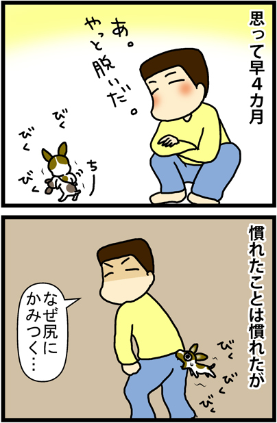 あぁ、トマコの生きる道【4コマ漫画】