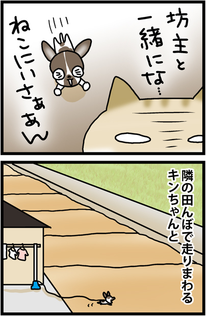 あぁ、トマコの生きる道【マンガ】