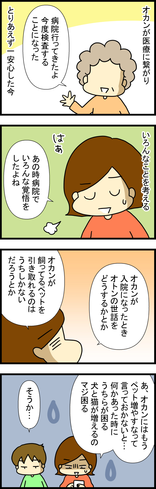 260131-1