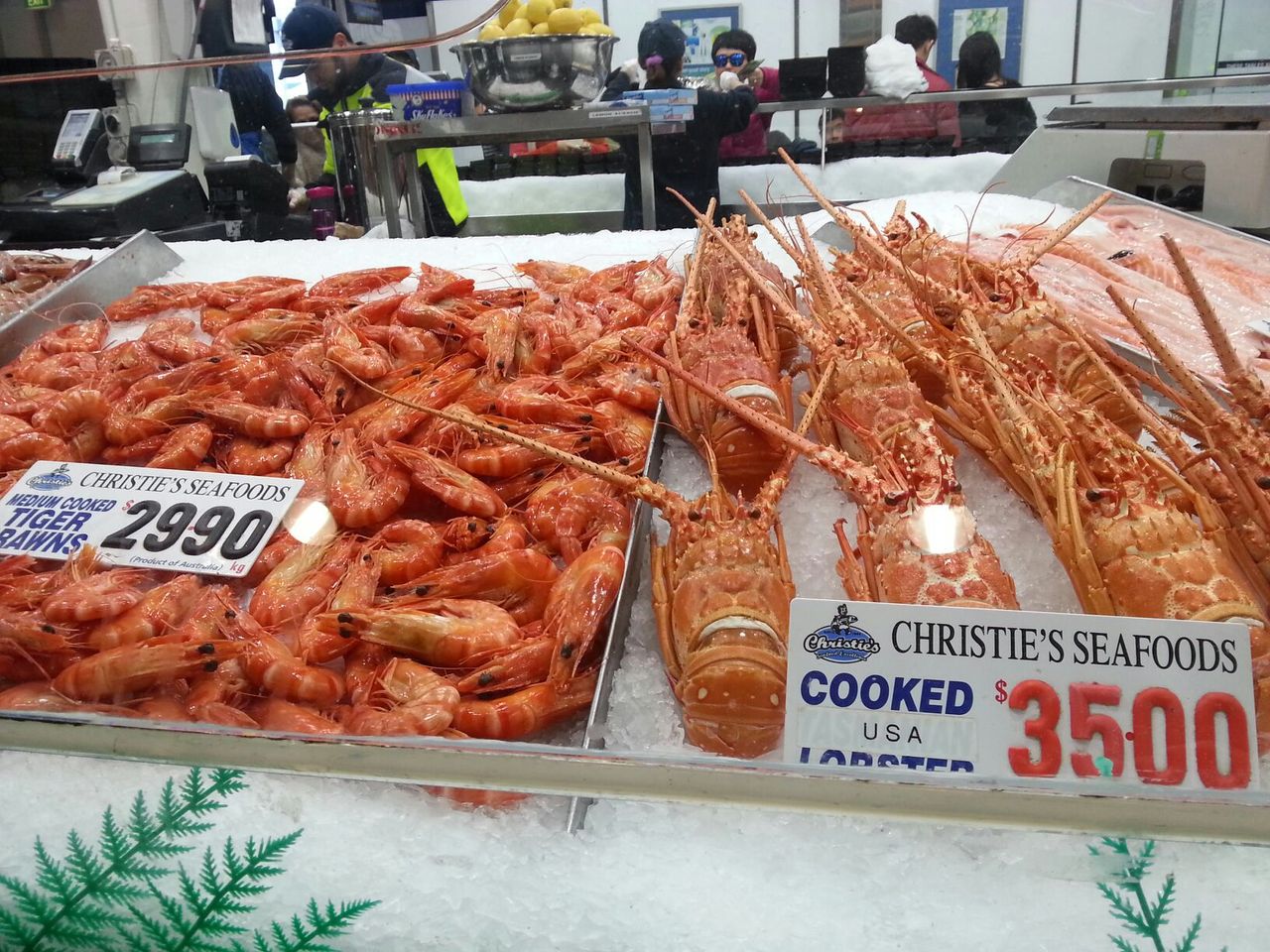 シドニーの旅2日目 子どものオーストラリア留学記 シドニーの旅2日目 子どものオーストラリア留学記