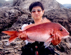 ��ä������礭��������250