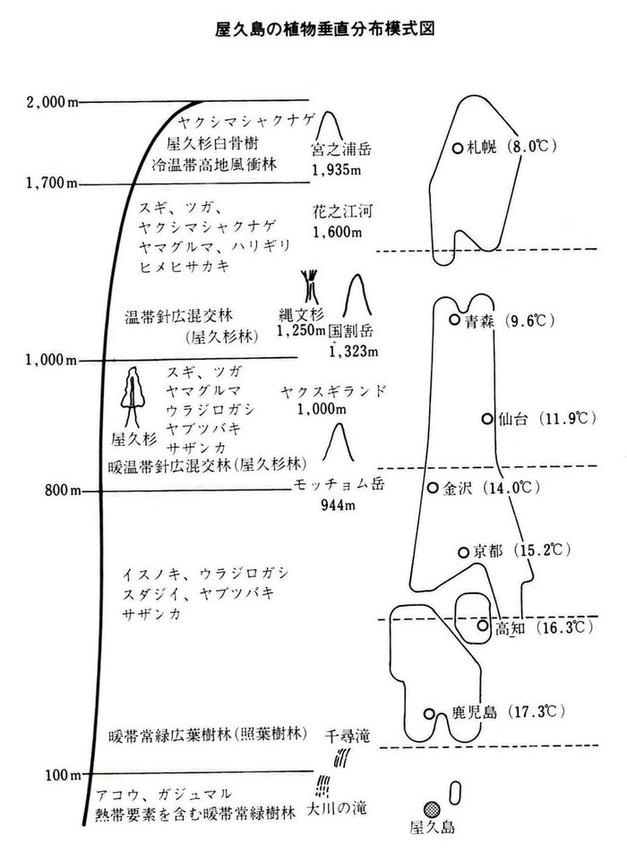 0屋久島の植物分布図
