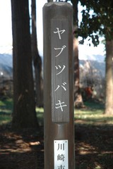 ��֥ĥХ�����