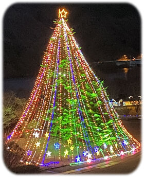 �ĥ꡼������