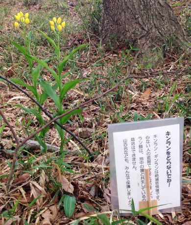 0��릷ٹ��_edited-1