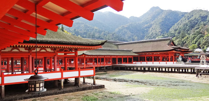 0神社2_700