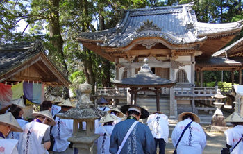 �����֡�ζ����350