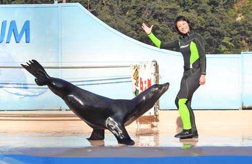 0アシカショー500