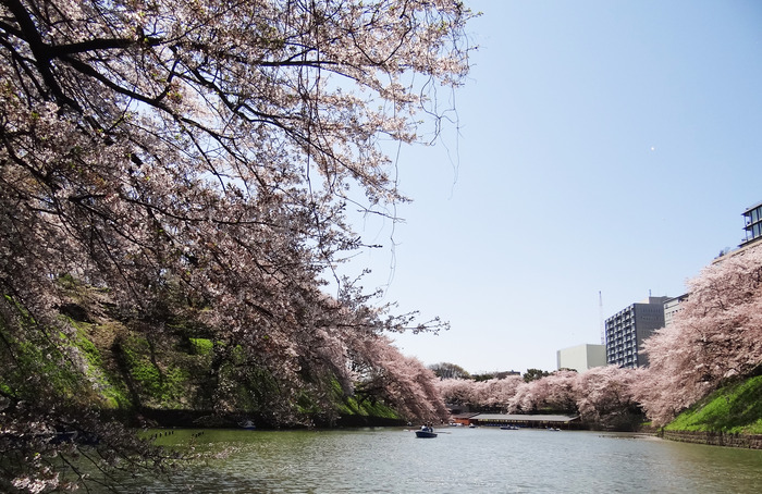 ������ȸ���