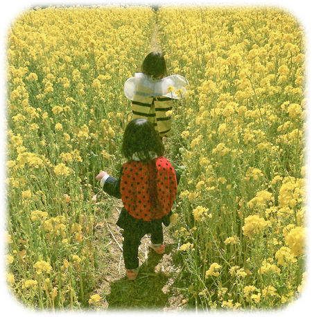子どもと菜の花450