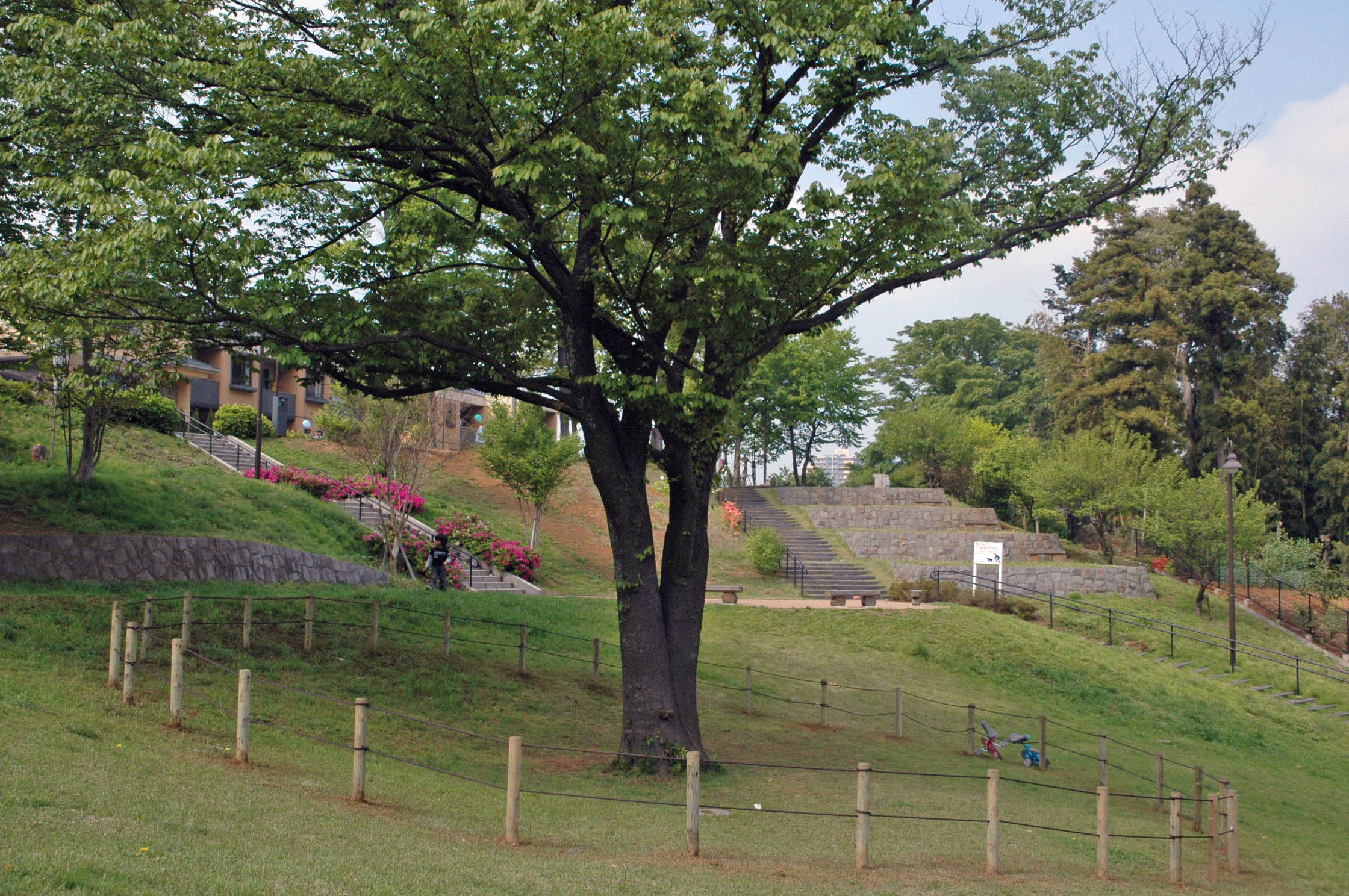 麻生区 はるひ野 若葉台 黒川の生活事典 ロープ柵設置 宮添みのり公園