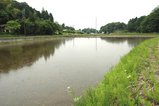 ���줫�鸫������