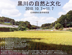 ����Ÿ����ѥ��m