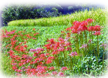 �������դ��ڼ�˺餯m