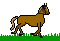 ϥ˥