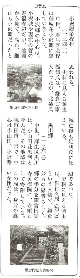 黒川郷 小島先生