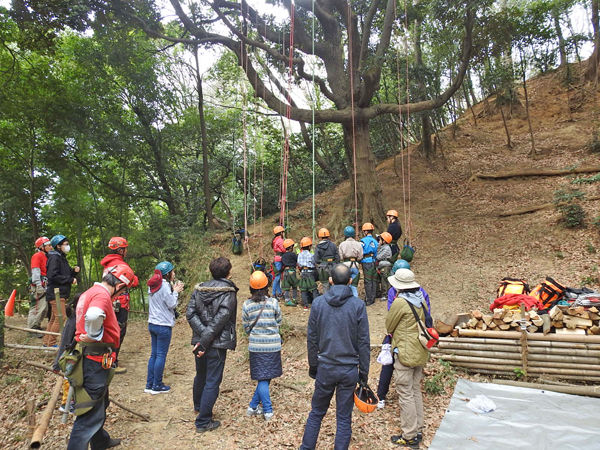 0�ĥ꡼���饤�ߥ󥰣�600