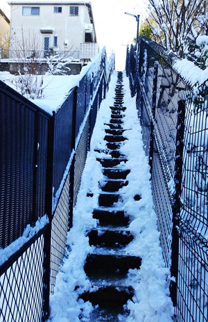 0除雪された石段300
