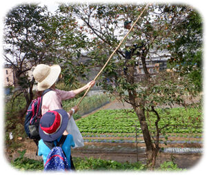 0�����ȥ�300