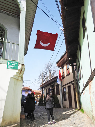 0ジューマルクズク401