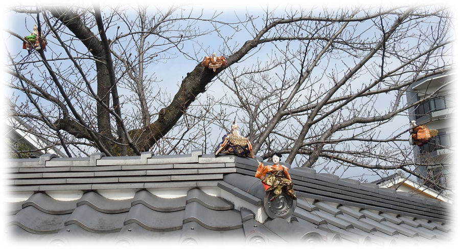 0ͭ���ͷ�901