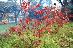 �ϥ��֥å���ι���