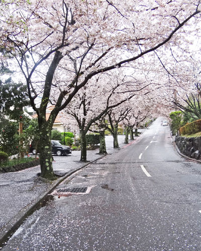 0���ܽ����κ�����400