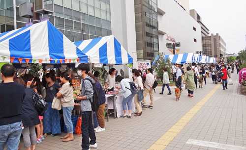 0�����Ȼԣ�500