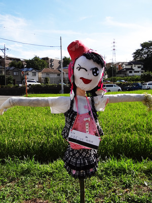 AKB����