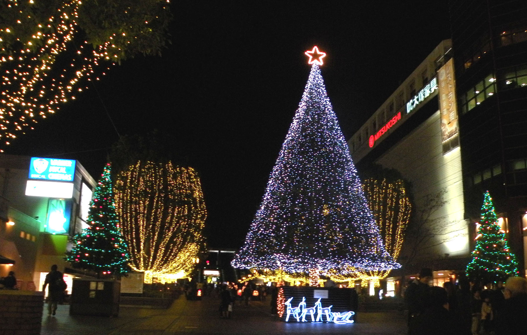 麻生区 はるひ野 若葉台 黒川の生活事典 多摩センターイルミネーション09