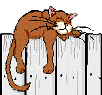 cat_hey_01[1]
