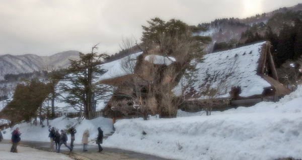 0���������600