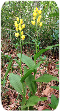 0��릣�����