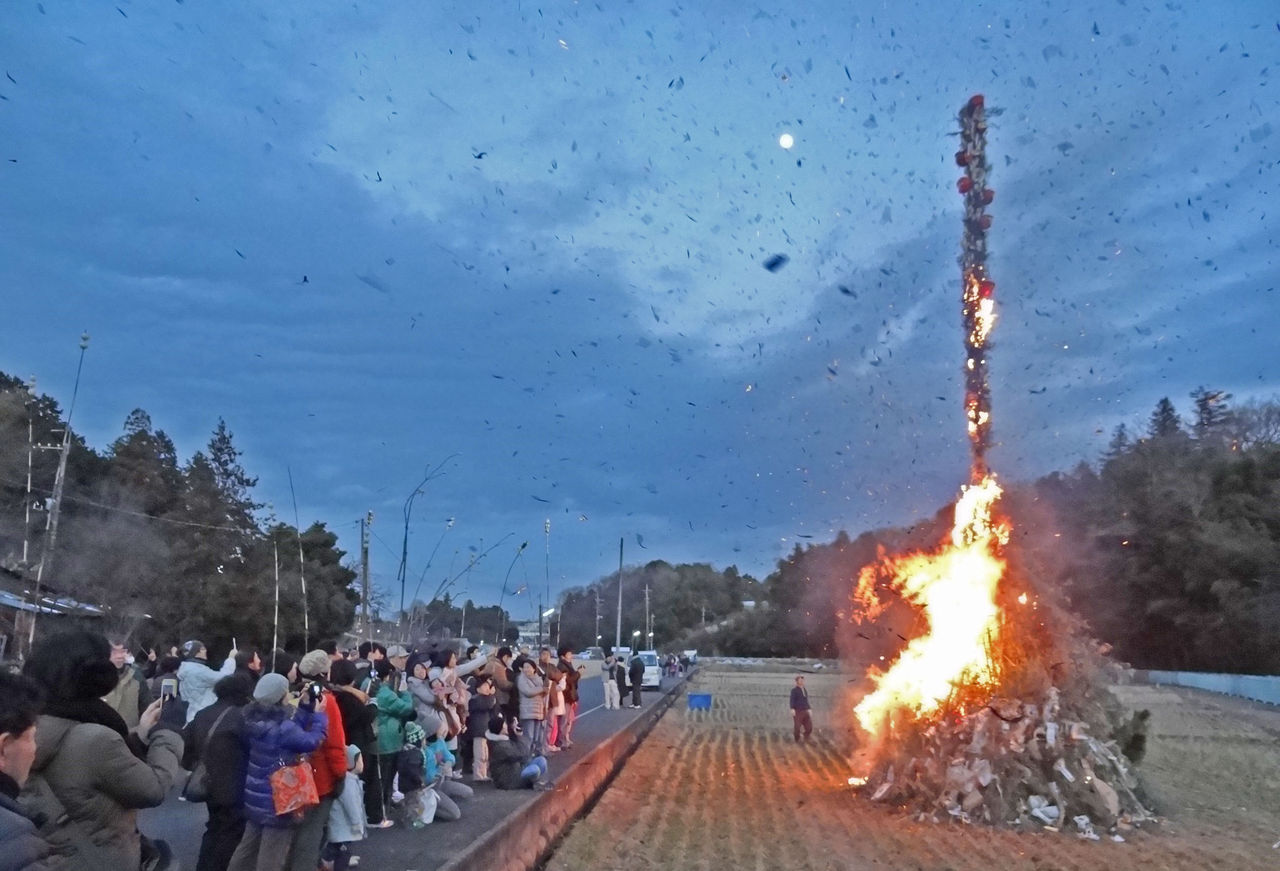 ��⸫�Ƥ������Τ����ο��ʤɤ�ɾƤ���