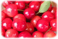 �������ܣ�