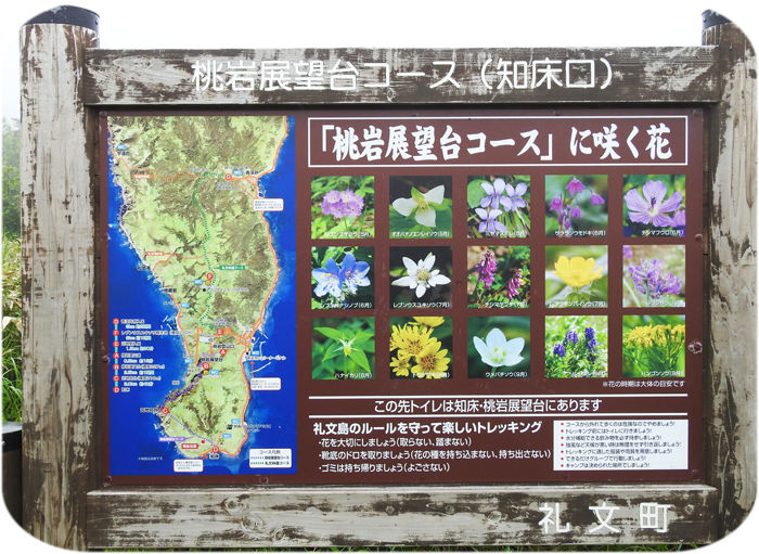 a桃岩看板700
