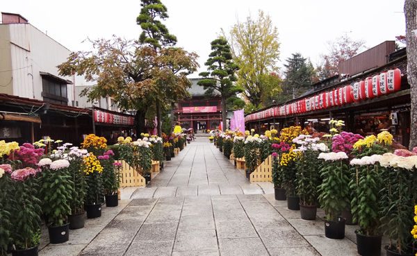 0笠間稲荷神社600