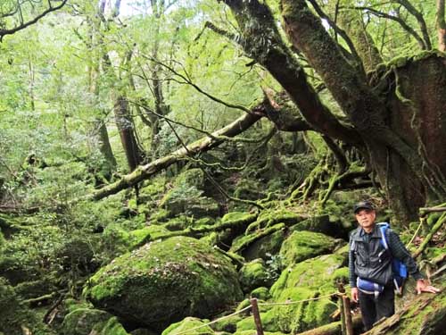 0白谷9苔むす森500