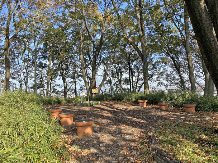 ��ˬ����701