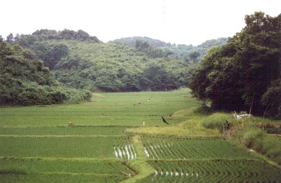 ��Į����