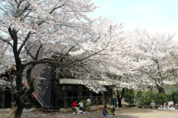 ������ʬ��600