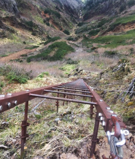 0鉄はしご61段450