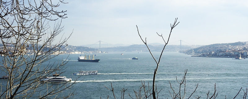 0����Ѥ򶴤�Ǻ��ϵ�Գ������Ͽ��Գ�700