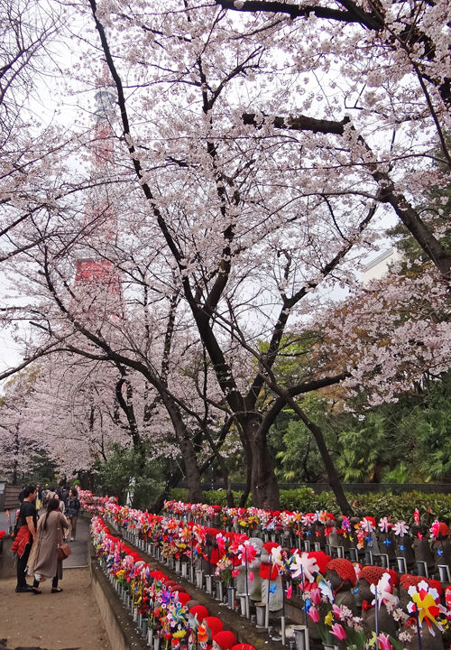 0増上寺境内から見た東京タワー・地蔵500