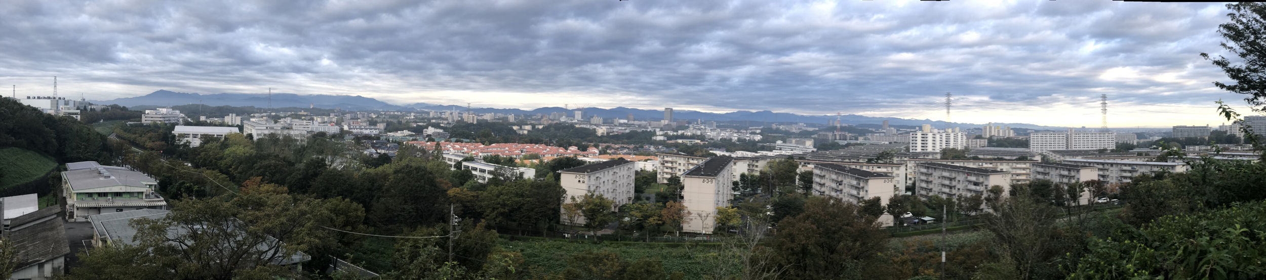 ¿��ѥΥ��2501