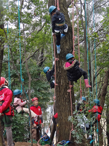 ツリークライミング1