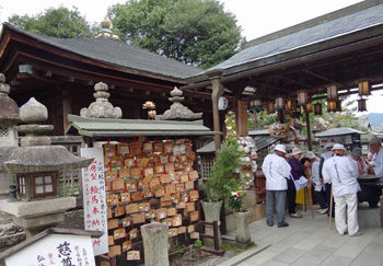 ��������º����Ʋ350