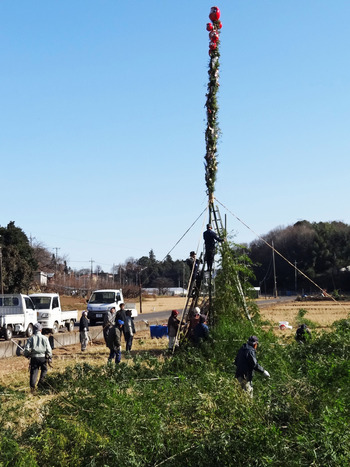 ������Τ����ο��ʾ��