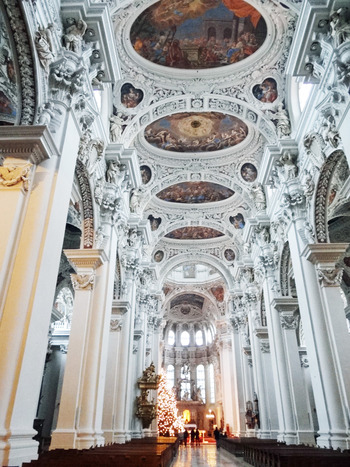 ����Ʋ������